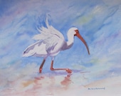 Ibis Beach Bird Painting, Ocean Seashore Sand Watercolor, Art Reproduction, Print of Original, Florida Memory, Barbara Rosenzweig