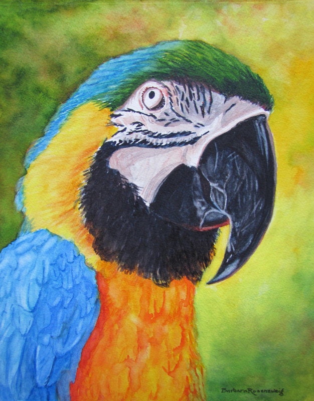 Parrot Macaw Bird Painting, Exotic Wildlife Watercolor, Jungle Rainforest Art, Reproduction of Original, Barbara Rosenzweig, Etsy