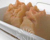 Mango Pineapple Coconut Milk - Scented Soap Bar - Pratique by Sunlit Soap