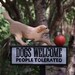 Yellow Lab and Ball Sign - Lab Welcome Sign- Pets - Labrador Retriever