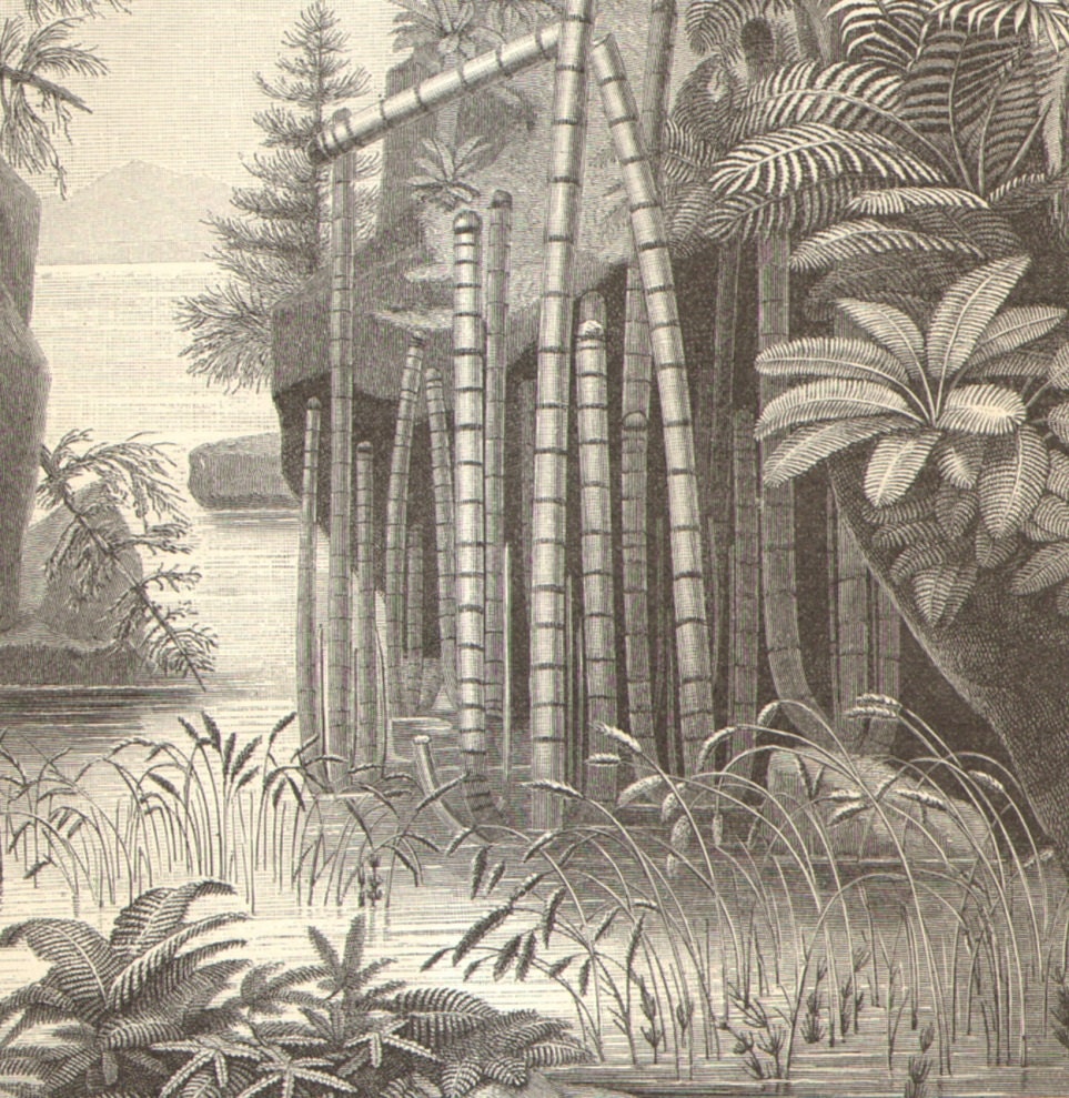 1906 Antique Engraving of a Triassic Landscape, Earliest Land Plants - Triassic Period About 250 Million Years Ago