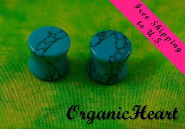 Turquoise Organic Ear Plugs 2g (6.5mm) Handmade Hand Carved Stone Body Jewelry Piercing Earrings 2 Gauge