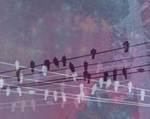 Birds on Wires Purple - 8x10 Photograph matted to 11x14 Pink Lavender