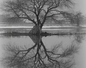 Winter landscape photograph nature photography,home decor,snow,gifts under 25,winter,black and white