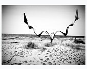 Romantic, dreamy black and white beach fine art photography - 5x7 print - Lilienthal's Dream