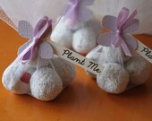 Plantable Paper Seed Bomb Wedding Favor for your guests - Iridescent  Lavender Hydrangea  - Trendy Plantable Wedding Favours