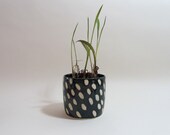 Black Cup/Planter with pattern of unglazed dots/lines