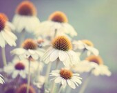 Flower Photography, Aqua Wall Art, Picture of Flowers, Nursery Wall Art, White Pale Mint Cyan Teal Boho Decor, Wildflowers 8x10, 8x12 Print