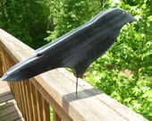 Folk Art Black Crow, with a Silver Sheen
