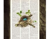 Robin Bird nest 2 print on Book page - Mixed media  art dictionary page printed
