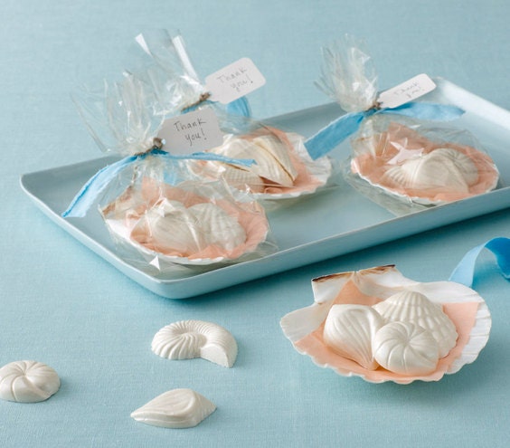 12 Chocolate Seashells: Starlight White Glimmer Il_570xn