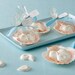 12 Chocolate Seashells: Starlight White Glimmer