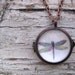 Dragonfly Locket Necklace Bubble Pendant Pastels Gift for her