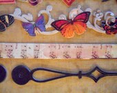 Brenda Walton Flora and Fauna Adhesive Borders by K and Company-FREE SHIPPING
