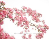 Spring Blossoms No. 1