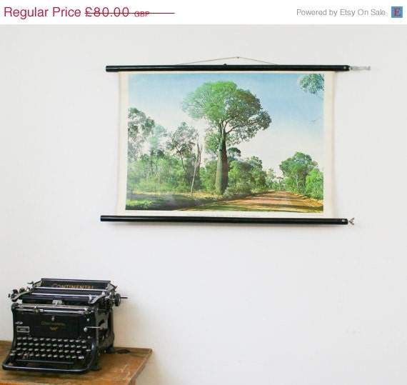 SALE Vintage Pull Down Chart, Geography Chart, Tree in Australia, Queensland