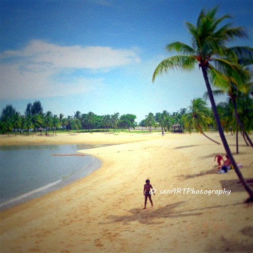 Child On The Beach 8"x8"  Fine Art Wall Decor Beach Photograph For Cafe Bar Pub Hotel Restaurant Nursey Home Office