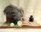 Rustic Wedding Guest Book Pen Ostrich Feather Nibs Pen
