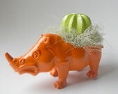 Orange Rhinoceros Planter - Mini Modern Art Centerpiece with Water Stone Cactus
