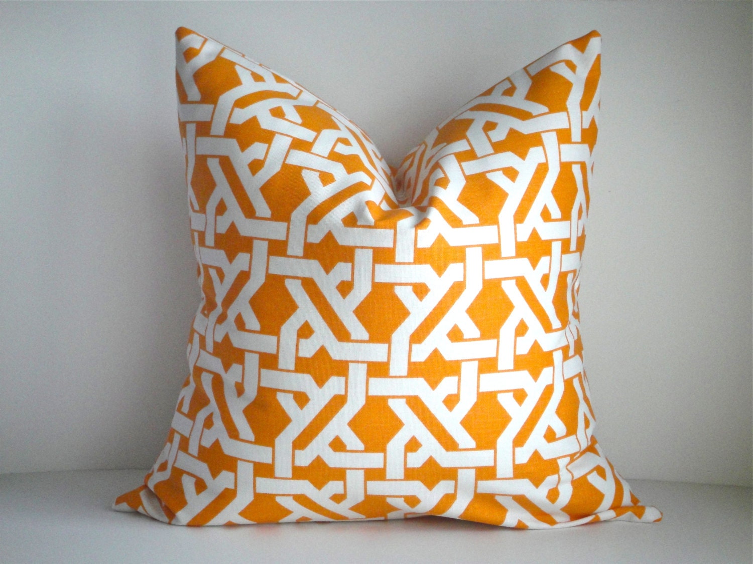 20x20 Pillow Cover In Norris Mango on Both Sides, Decorative Pillow Covers, Throw Pillow,Pillows