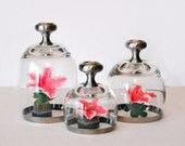 Set of 3 Upcycled Terrariums, Cloches, Dorothy Thorpe Style silver banded glasses, mid century modern, recycled beauties