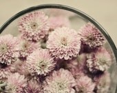Romantic floral print- pink, mint, valentines day, shabby chic, for her, pale, nursery decor, dreamy, mums, fine art photo, 8x10 print