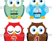 SALE Monthly Onesie Stickers Baby Girl or Boy UNCUT Neutral Colorful Owls Brown Green Blue Purple Red Yellow - 1-12 Months Plus Just Born