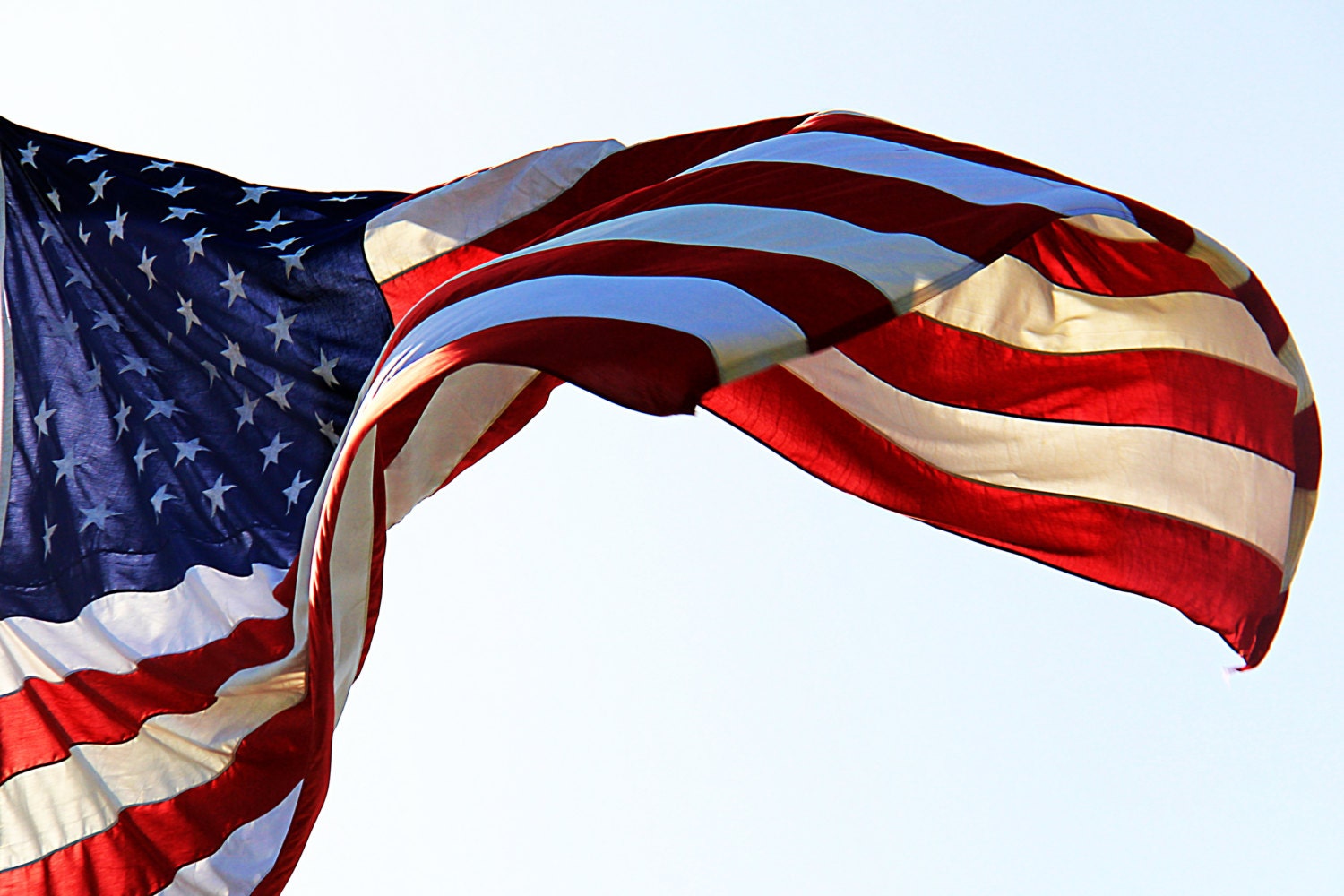 Memorial Day Flag/ Photography