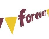 Forever Wedding Banner, Florida State Seminoles, Washington Redskins Decor, Minnesota Gophers, Just Married Photo, Couples Photography Prop