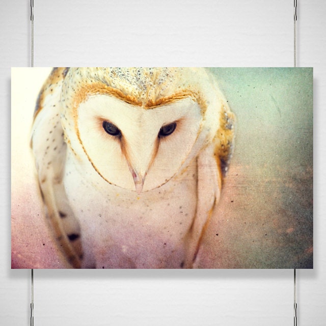 Barn Owl Photography / dreamy fairy tale forest woodland / mint pink golden pastel fantasy / 8x12 photograph print /  "A Little Bit Lost"