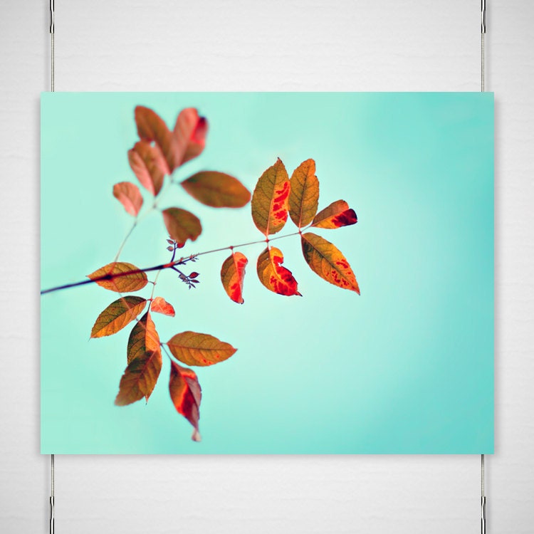 Autumn Minimal Photography - 8x10 photograph print - minimalist modern red orange branches aqua green blue sky decor - 'Three Autumns'