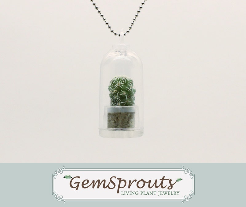 Real Living Tiny Green Cactus Plant Necklace with Ballchain