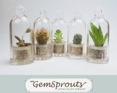 Set of 5 Secret Surprise Dome GemSprout Pendants