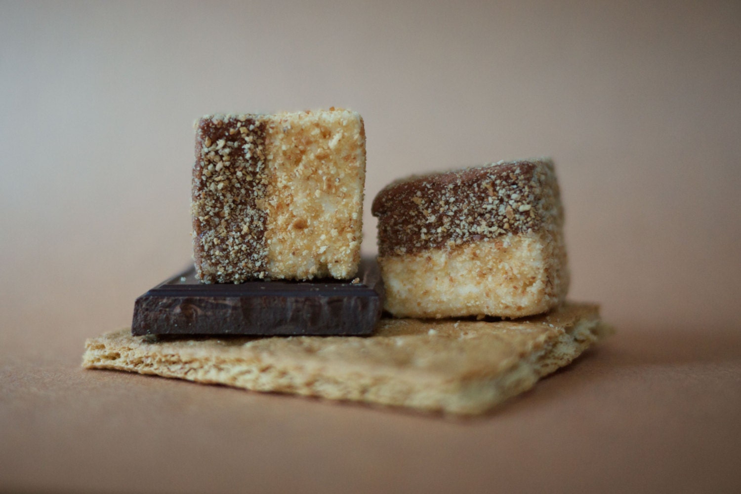 S'mores marshmallows - Half vanilla, half chocolate rolled in crushed graham cracker