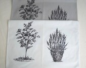 TEA TOWEL / Guest Towel, set of 2 (two) from sketch drawing  (19" x 27")