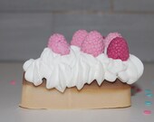 chocolate vanilla and rapsberry cake soap