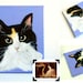 Custom Cat Portrait / Custom Pet Portrait - 1 Pet - Close-Up Solid background (12 x 12 x 0.75 inch)