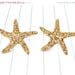 ON SALE starfish earrings - starfish jewelry - starfish studs - starfish - nautical - nautical earrings - nautical jewelry - nautical studs
