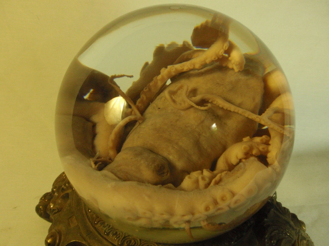 Wet  Specimen Octopus In Glass Sphere On Ornate Base