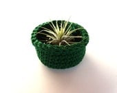 Air Plant Container Bowl in Emerald Green