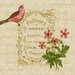 Antique French book cover Pink bird Flowers Digital download image for iron on fabric transfer decoupage papercraft pillows No. 1832