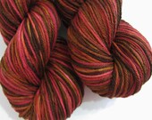 TWW Superwash Workhorse Worsted  - Dried Roses