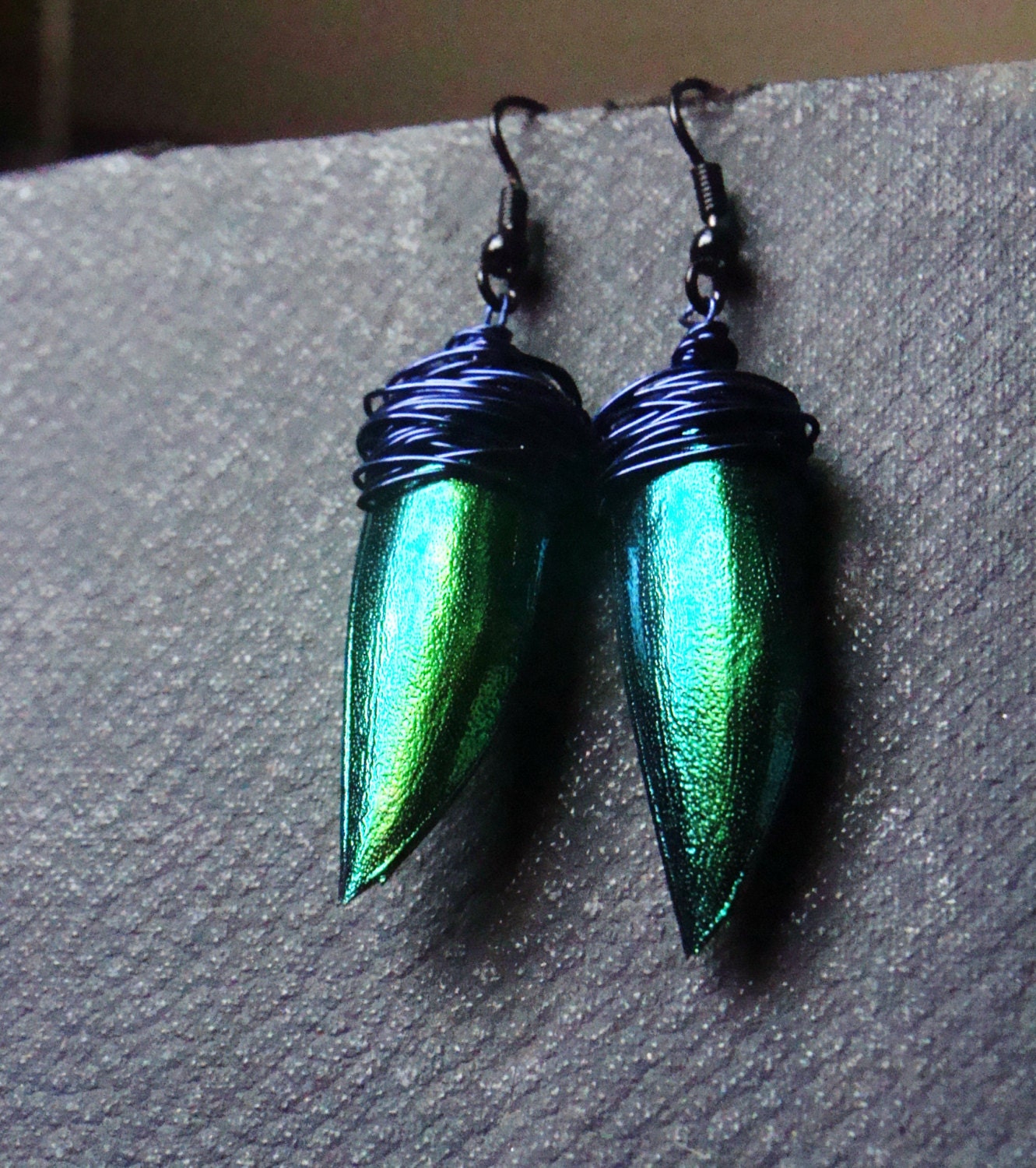 Beetle Wing Earrings, Wire Wrapped Insect Earrings