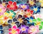 12 Pcs Diy MIX Assorted Bundle Set X 15mm Small Mini Tiny Polymer Clay Flowers Cabochon Flat Back -Pendant Nail Art Craft Decoration (FL17M)