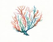 No. 5 Sea Coral  / Coral/ Teal/ Aqua/ Orange / Watercolor
