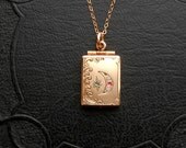 Victorian Moon & Star Locket. Ruby, Moonstone, Peridot Brilliants.  Rectangle. K.