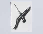 Cygnus // Swan Constellation Original Illustration