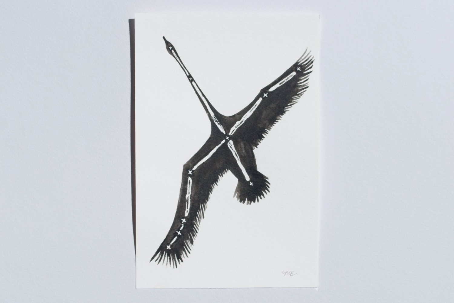 Cygnus // Swan Constellation Original Illustration