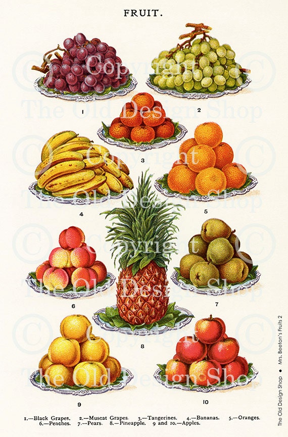 MRS BEETONS FRUIT 2 Vintage Digital Image for Cardmaking Scrapbooking Altered Art Mixed Media