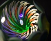 UV Insanity by Robin Moore/Richard "Cajun" Carter 1.86"